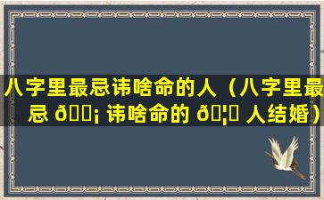 八字里最忌讳啥命的人（八字里最忌 🐡 讳啥命的 🦉 人结婚）